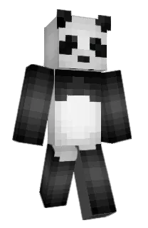 Front of b_ba_roo_d's skin