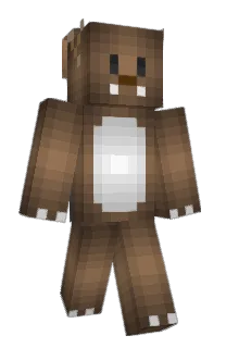 Front of Minecraft skin