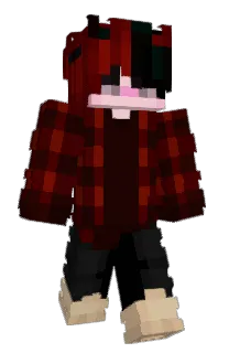 Front of Im6s's skin