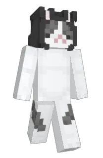 Front of soohia's skin