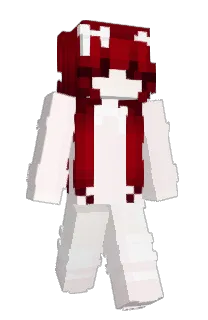 US_L's Minecraft skin