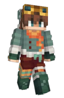 Front of hopwd's skin