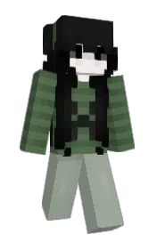 Skin preview