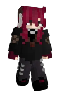Front of polaroidcam's skin