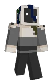 Skin preview