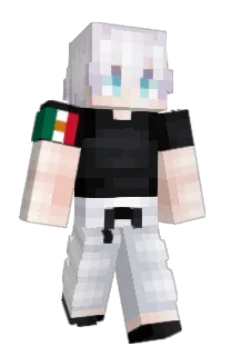 Front of vxlu's skin