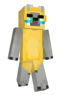 Front of KitiKetuhka's skin