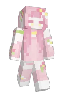 adawg206 Minecraft avatar full body