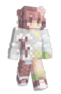 Front of tallymarks's skin