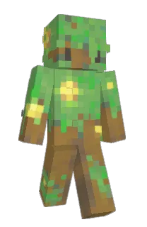 Front of ewija's skin