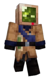 Skin preview