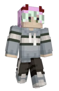 metteruser's Minecraft skin