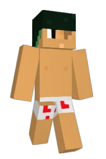 addmishi Minecraft avatar full body