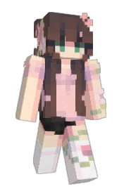 Skin preview
