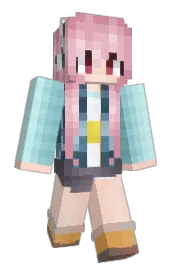 Skin preview
