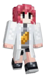 desert storm and jumbo Minecraft skin — Classic model — first worn by supercarlock