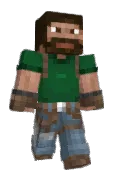 vizorkid
