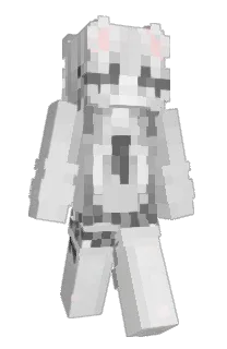 Front of levin_z's skin