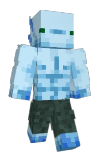 Front of Polaflex's skin