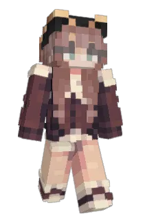 Front of NpSolved's skin