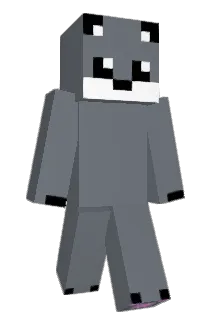 adi9009 Minecraft avatar full body