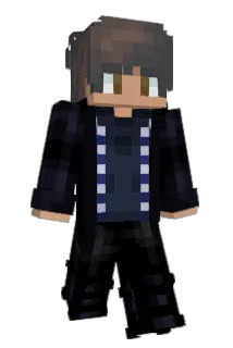 adiins Minecraft avatar full body