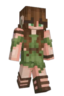 adisshu Minecraft avatar full body