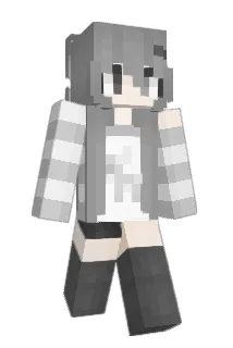 adolle Minecraft avatar full body