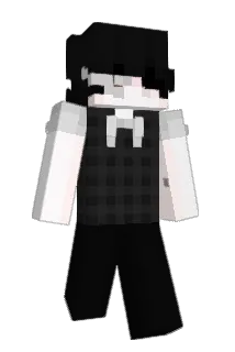 adreeww Minecraft avatar full body