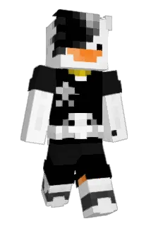 adrwbrwn Minecraft avatar full body