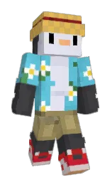 Custom render preview
