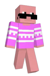 adsorbs Minecraft avatar full body