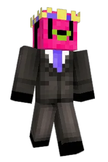 aduckkk Minecraft avatar full body