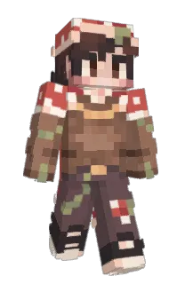 Front of Willusion's skin