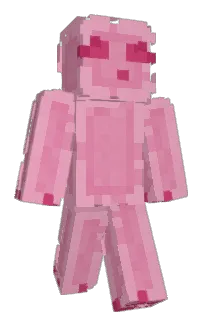 Front of tinctrlz's skin