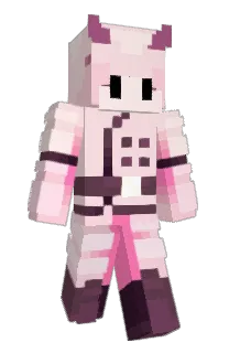 Front of acearays's skin