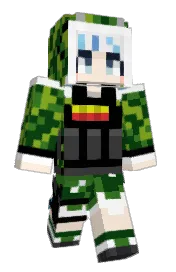 Skin preview