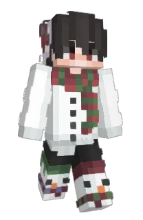 Front of ZemoraxX's skin