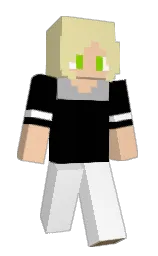 white and black Minecraft skin — Classic model