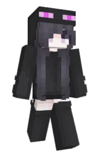 Front of Septicpanda's skin