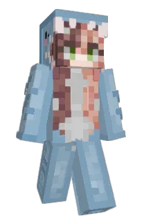 Front of Der_Wichtigste's skin