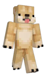 Naax7's Minecraft skin wearing the Purple Heart cape