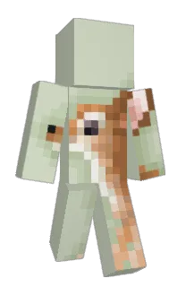 X's Minecraft skin