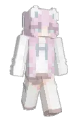 dskprt
