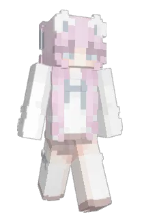 Front of dskprt's skin