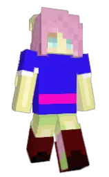 Minecraft skin — Classic model