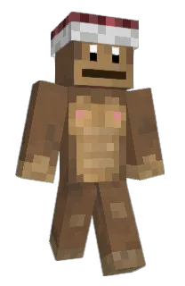 Front of reploop's skin