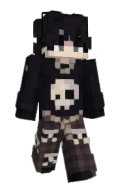 Skin preview