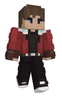 Front of Zinamox's skin