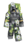 wiredframe